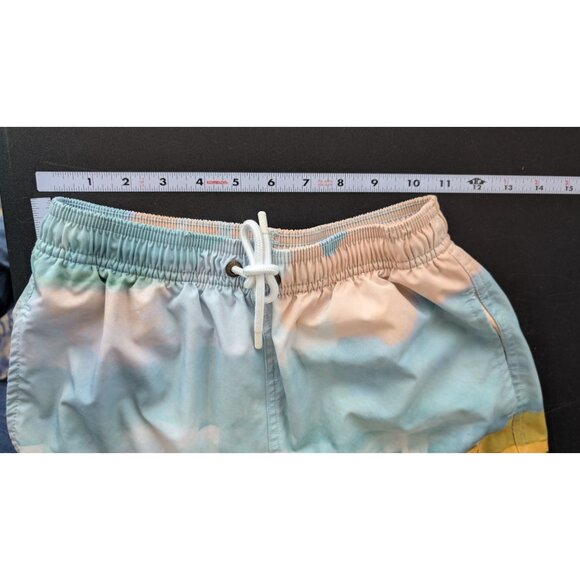 Scene & Heard Boys Swim Trunks Size 14/16 Pool Beach Vacation Landscape Colorful - Picture 7 of 9